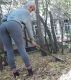 следующее фото