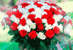 633692d77a44b5.223892751664520919_633692d77a4508.79634419.gif
