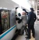 Такое возможно только в Японии.
