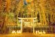 Фестиваль фонарей "Hikari no Kyoto" в храме Ансё-дзи