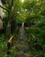 Rain at Rengen-ji temple, Kyoto