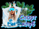 Без описания