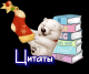 Цитаты