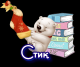 Стик