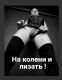 Без описания