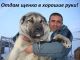 Без описания
