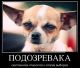 Без описания