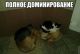 Без описания