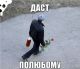 Без описания