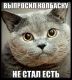 Без описания