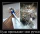 Без описания
