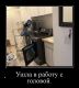предыдушее фото