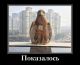 предыдушее фото