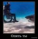 Без описания
