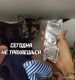 Без описания