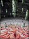 Invasion