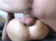 6447d927c55eb5.493719951682430247_6447d927c55f87.95277697.gif