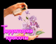 Без описания