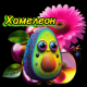 Без описания