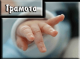 Без описания