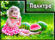 Без описания