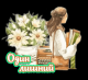 Без описания