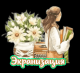 Без описания