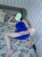 Без описания