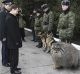 Без описания