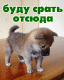 Без описания