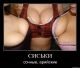 Без описания