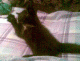 1240248563_1724.gif