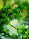 1244708809_3749.gif