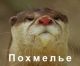 Без описания