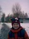 предыдушее фото