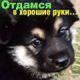 Без описания