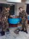 В столовой