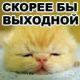 Без описания