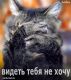 Без описания