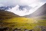 1250419332_7676.gif