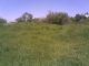 1252050905_9413.jpg
