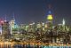 New York city