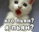 На котенка твоего похож
