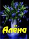 Алена.