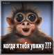 1257223911_5133.gif