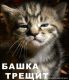 После бухаловки