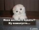 Без описания