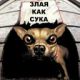 Без описания