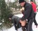 Без описания