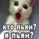 Кто пьян?